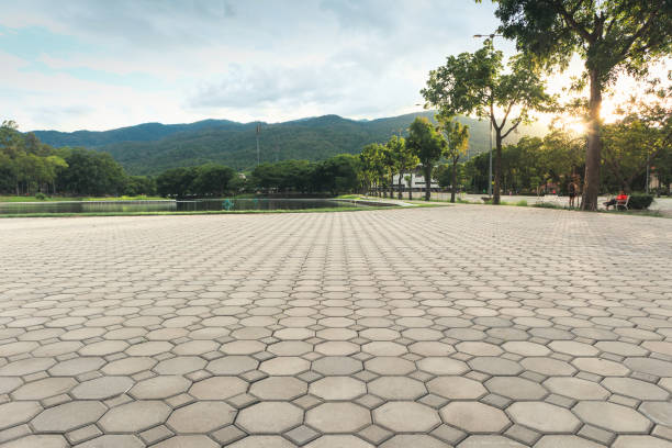 Best Driveway Pavers Near Me  in Watseka, IL